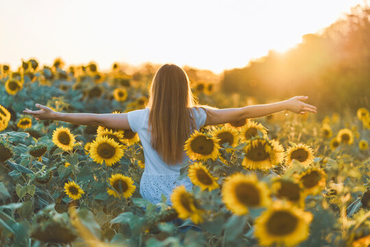 Young beautiful woman having fun in a sunflower field on a beautiful summer day. View from behind.