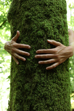 Tree hugger
