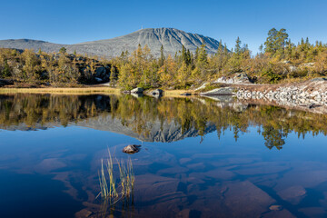 reflection in the lake