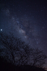 via lactea