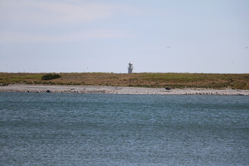 Holmhällars raukfält at Gotland island, Sweden