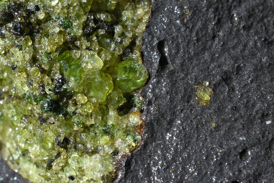 Closeup of Large Peridot (1-2 cm) olivine crystals in Lherzolite xenolith enclosed by basalt, San Carlos Apache Reservation, Arizona