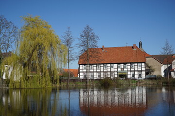 Fototapeta na wymiar Spiegelung im Wasser an einem Teich mit Häusern