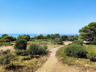 Fototapeta premium Visite à Sète