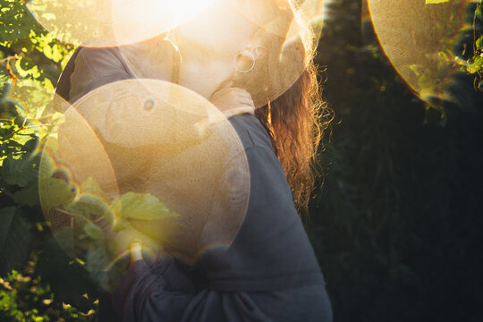 Sunlight circles