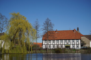 Fototapeta na wymiar Spiegelung im Wasser an einem Teich mit Häusern