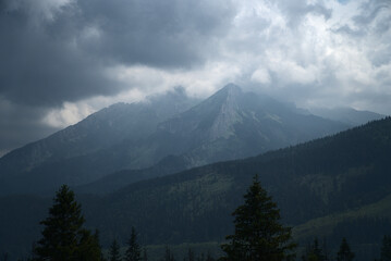 Obraz premium Landscape of Polish Tatra Mountains in summer 
