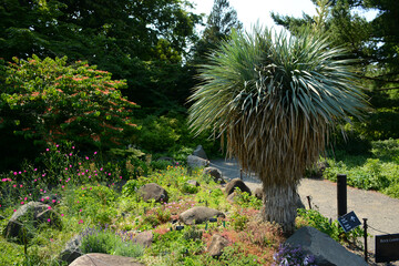 Brooklyn, NY, USA - June 27, 2019: Brooklyn Botanical Garden