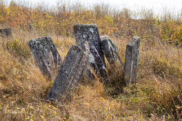 Tombstones on a background of dry grass in a cemetery.