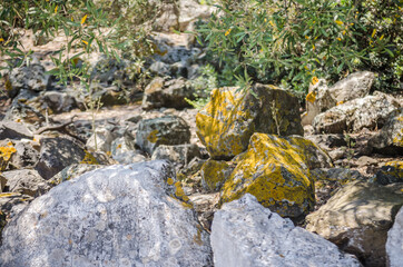 Rocks of volcanic origin on the beach of the island of Lihada-Greece 