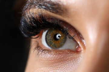 Beautiful female green colored right eye with eyelashes extensions