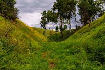 green grass and blue sky