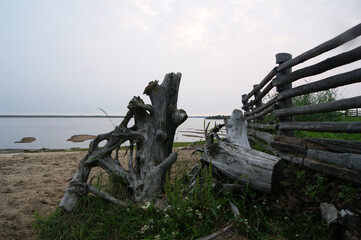 an old rotten tree stump lies on the grass near the fence on the river bank