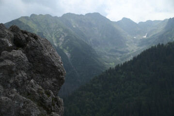 Landscape of Polish Tatra Mountains in summer
