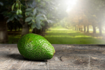 Avocado on vintage wooden table with garden on blurred background Close up. Top view. Text space. Field in background. High quality photo