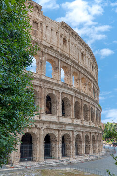 Coliseu de Roma, Coliseum