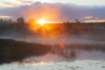 Orange sunny light with rays and shadows over the foggy river at dawn.