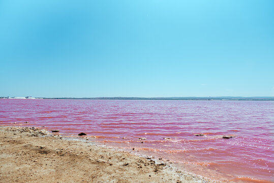 idyllic and amazing view of a shoreline of a salty pink sea lake saline