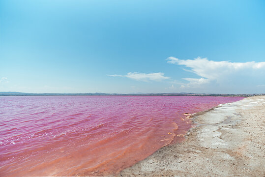 idyllic and amazing view of a shoreline of a salty pink sea lake saline