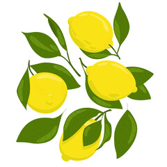 Set of yellow lemons in a flat style. Citrus fruits with leaves for the design of invitations, posters, prints. Vector image on a white background.