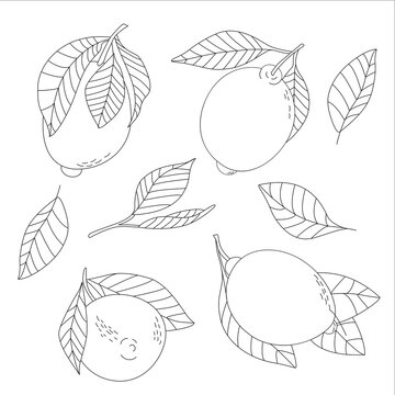 Set of contour lemons with leaves. Linear merge. Vector image on a white background.