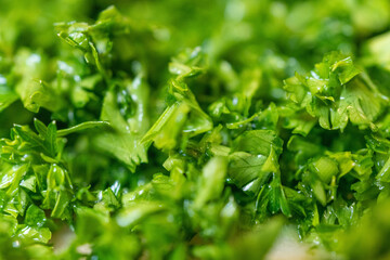 fresh parsley on the table