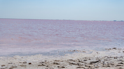 Pink lake made of salt, sea salt, made from microscopic unicellular algae secretes betacaratin minerals grown by bacteria light