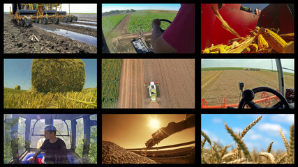 Crop Production Photo Collage - Harvest Time