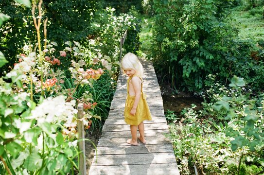 Little girl on a wooden bridge