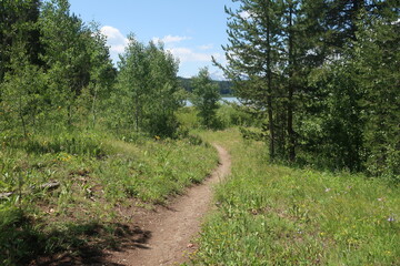 Fototapeta premium Nature and environment in the Tetons, Wyoming