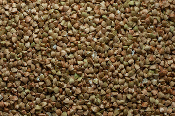 background of buckwheat green healthy