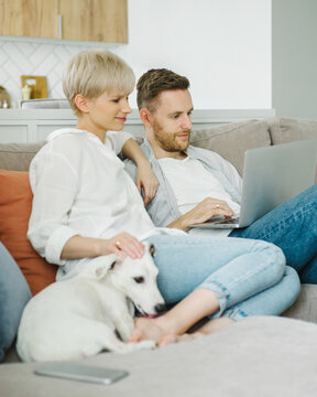 Young beautiful couple with dog sitting on the sofa using laptop at new stylish home