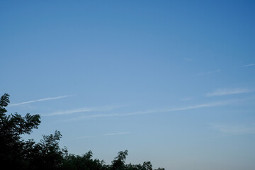青空と木々のシルエット