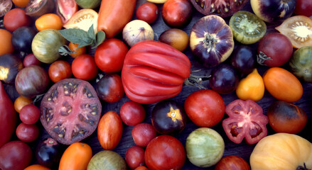 Multicolored tomatoes on a wooden surface top view, selective focus.