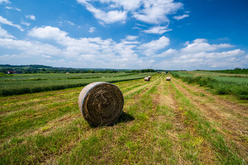 żniwa, bale, zielonki, kraków, małopolska  © Tomasz