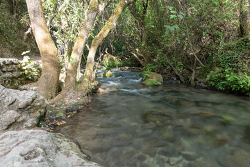 Río Majaceite, en la provincia de Cádiz, España.