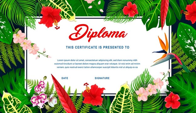 Kids diploma with tropical plants and flowers. Vector education certificate in frame of exotic hibiscus, frangipani and orchid blossoms, fern, palm and jungle plant leaves. Children diploma template