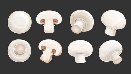 Champignon mushrooms, food cooking, isolated vector raw fresh portobello whole and sliced champignon mushrooms in different angles view. Fungi cook ingredient, forest plant healthy eating, cartoon set
