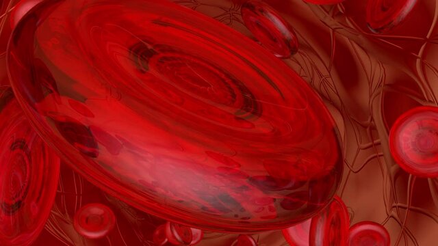3D animation, hemoglobin cells flowing through the blood stream