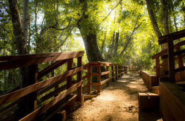 Sendero, parque natural