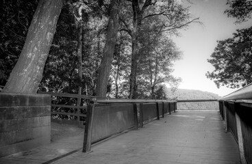 Mirador