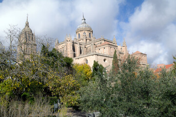 Fototapeta na wymiar Salamanca Cathedral facade in Spain by the Via de la Plata way to Santiago
