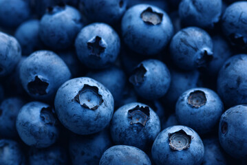 dark blue ripe blueberry macro close up