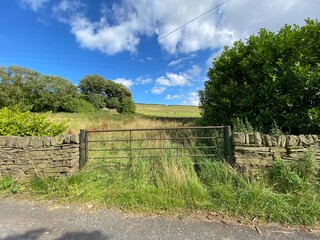 Old farm gate, leading into an uncropped field, with old trees, and hills, on a sunny day near, Bradford, Yorkshire, UK