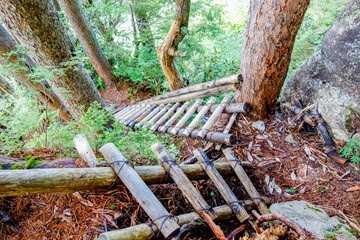 北アルプス　七倉岳　登山道