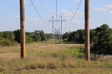 Power Lines in Florida