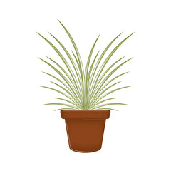 Vegetable or spice plant in a pot. Urban farming gardening - Vector