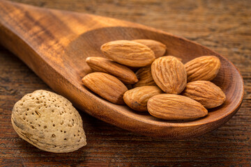 almond nuts on wooden spoon against grunge wood background