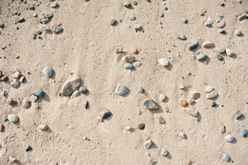 Fototapeta na wymiar rabbles on the beach