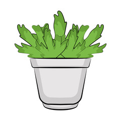 Vegetable or spice plant in a pot. Urban farming gardening - Vector